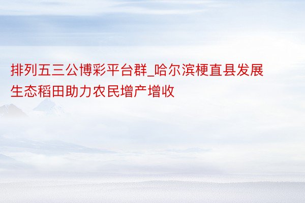 排列五三公博彩平台群_哈尔滨梗直县发展生态稻田助力农民增产增收